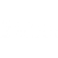 RENAULT MODUS 04 RESGUARDO INFERIOR MOTOR