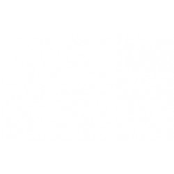 ISUZU NKR 96 ESTRIBO IZQUIERDO