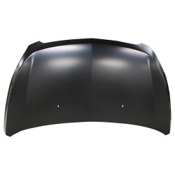 CHEVROLET SPARK 2010 CAPOT