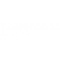 MAZDA MPV 2000 REJILLA CON MOLDURA CROMADA