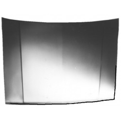 NISSAN B310 80-82 CAPOT