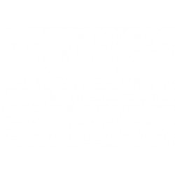 TOYOTA RAV4 2001 CAPOT APERTURA TURBO