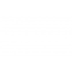 TOYOTA RAV4 2001 FRENTE INTERNO