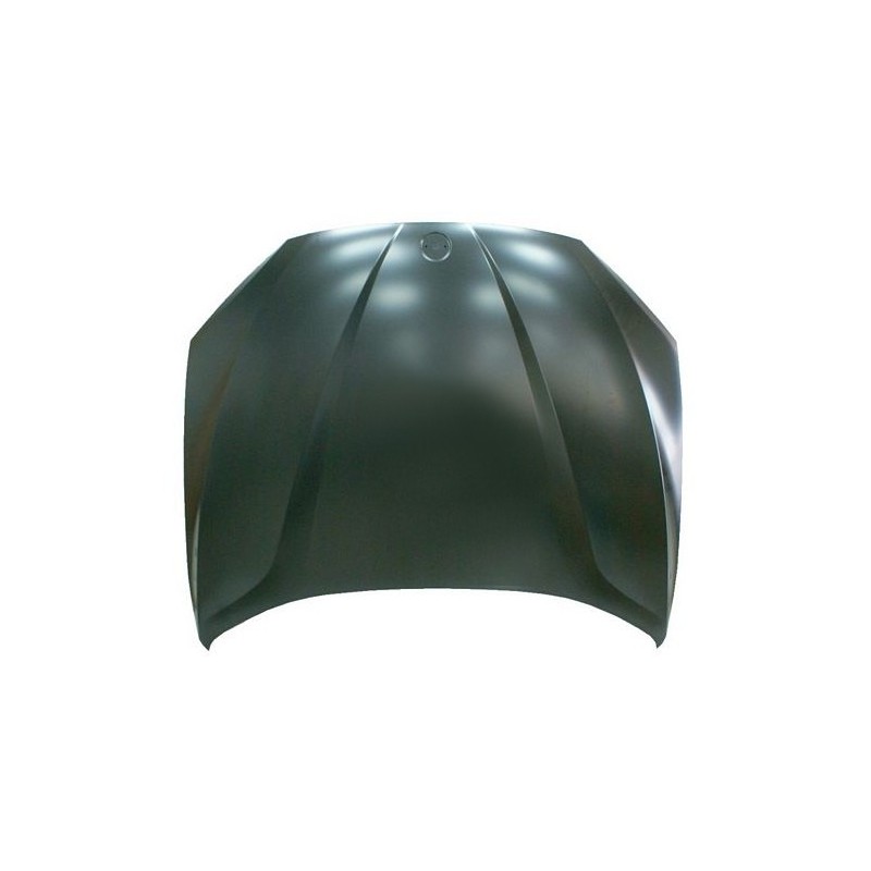 COMPATIBLE CON BMW X1 2009 CAPOT (CHAPA)