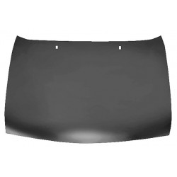 FORD FIESTA 96 CAPOT