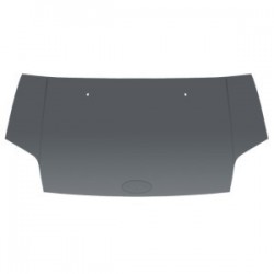 FORD TRANSIT CONNECT 02 CAPOT