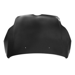 FORD FOCUS 11 CAPOT (CHAPA)