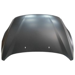 FORD C-MAX 10 CAPOT(CHAPA)