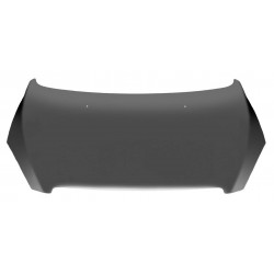 PEUGEOT 307 2001 CAPOT