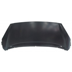 PEUGEOT 1007 2004 CAPOT