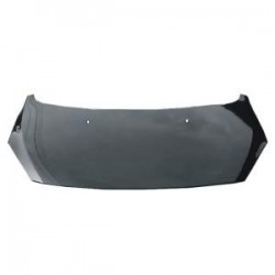 PEUGEOT 307 05 CAPOT