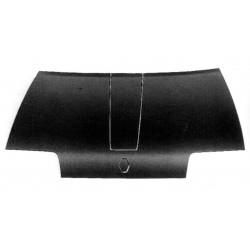 RENAULT 19 1989 CAPOT