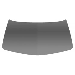 RENAULT MEGANE 2002 CAPOT