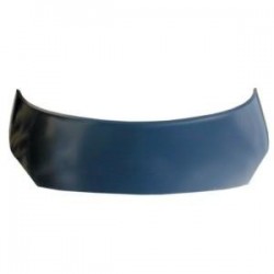 RENAULT SCENIC 05 FRENTE