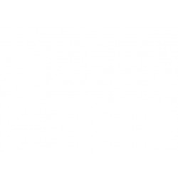 ROVER FREELANDER 97 CAPOT