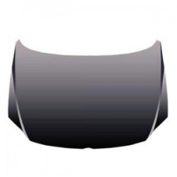 VOLKSWAGEN FOX 2005 CAPOT